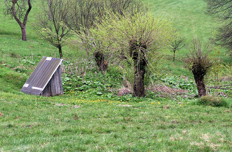 studánka Na Hážovských dílech (3138)