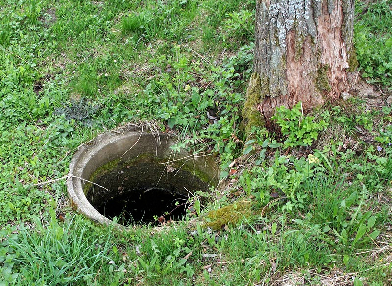 studánka Pod Spinou (3139)