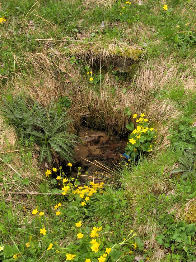 studánka Na Spině (3141)