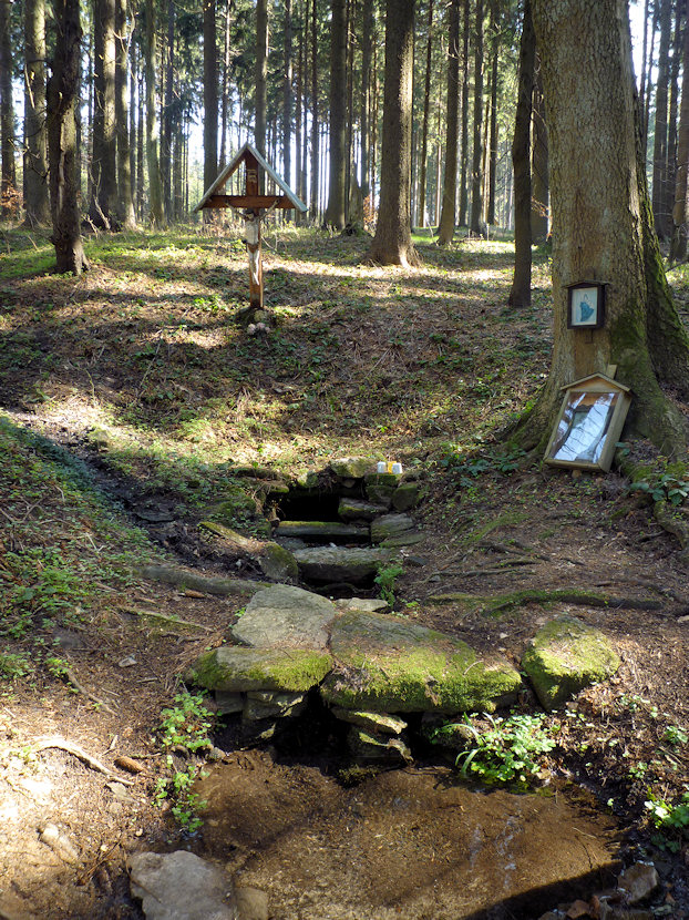 studánka Pod Zámečkem (3151)