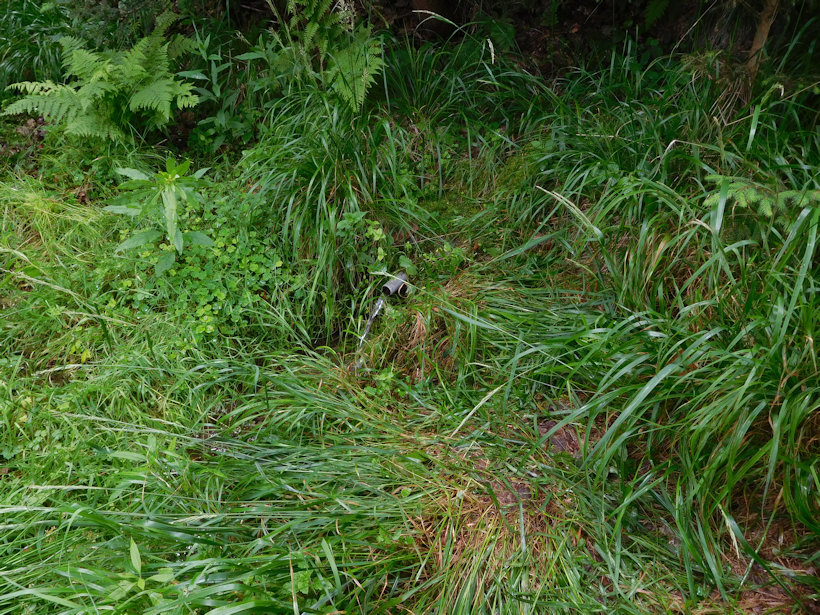 studánka Myslivecký pramen II (3153)