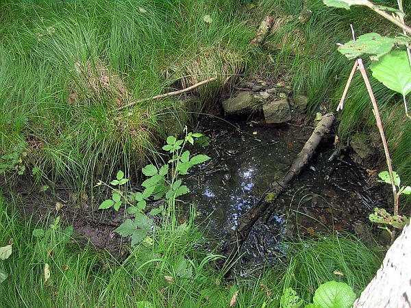 studánka bez jména (3159)
