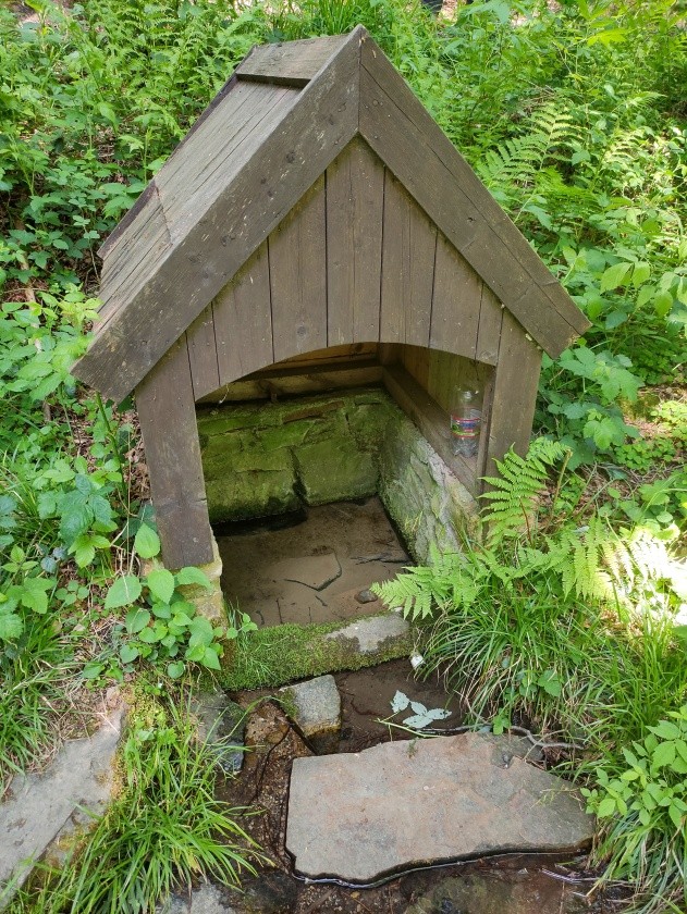 studánka Bílý kámen (3163)