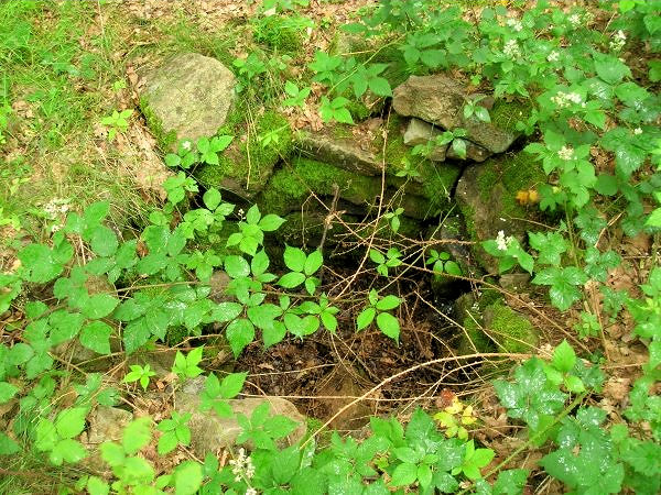 studánka Džbelka (3168)