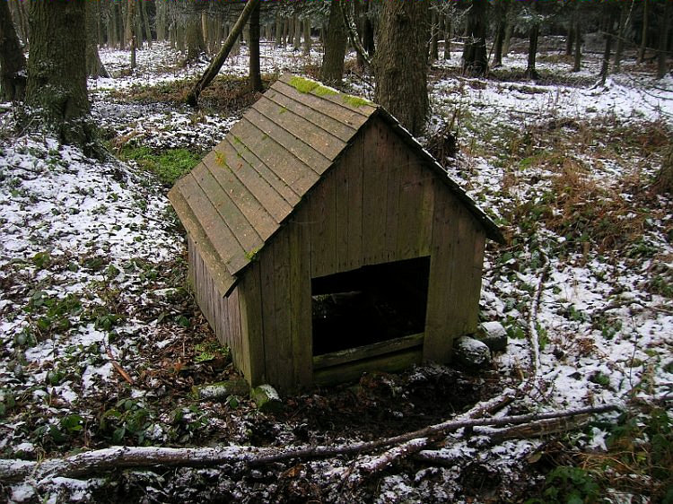 studánka Na Studánce (3172)