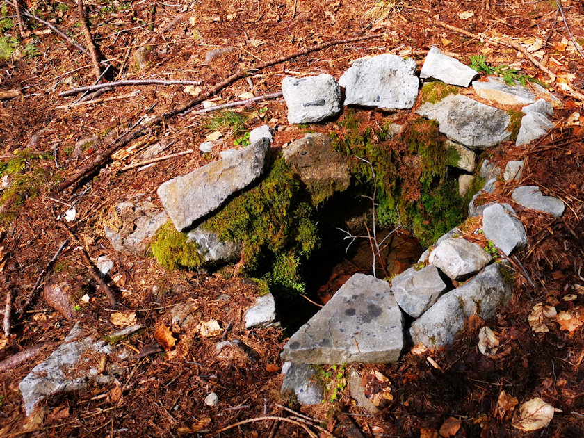Partyzánská studánka (3178)
