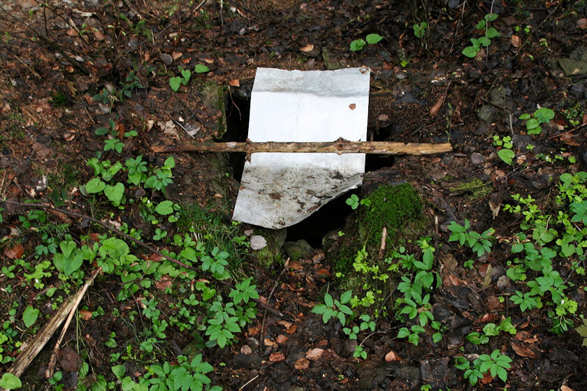 studánka U Malované chalupy (3186)
