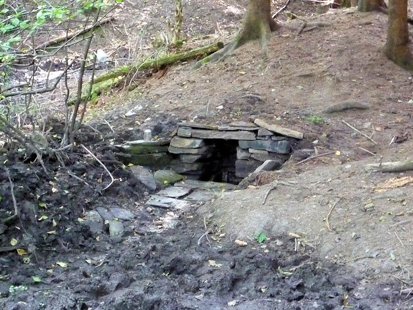 studánka U Prokůpka (3196)
