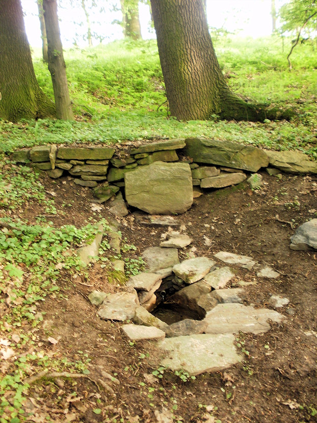 studánka V Březince (3197)
