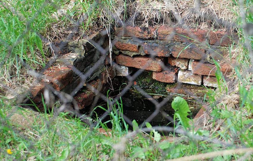 studánka V zahradě (3232)