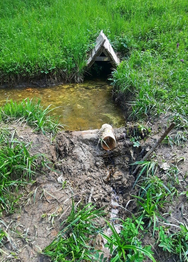 studánka V louce (3233)