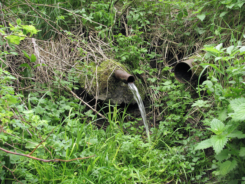studánka Na Pančavě (3236)