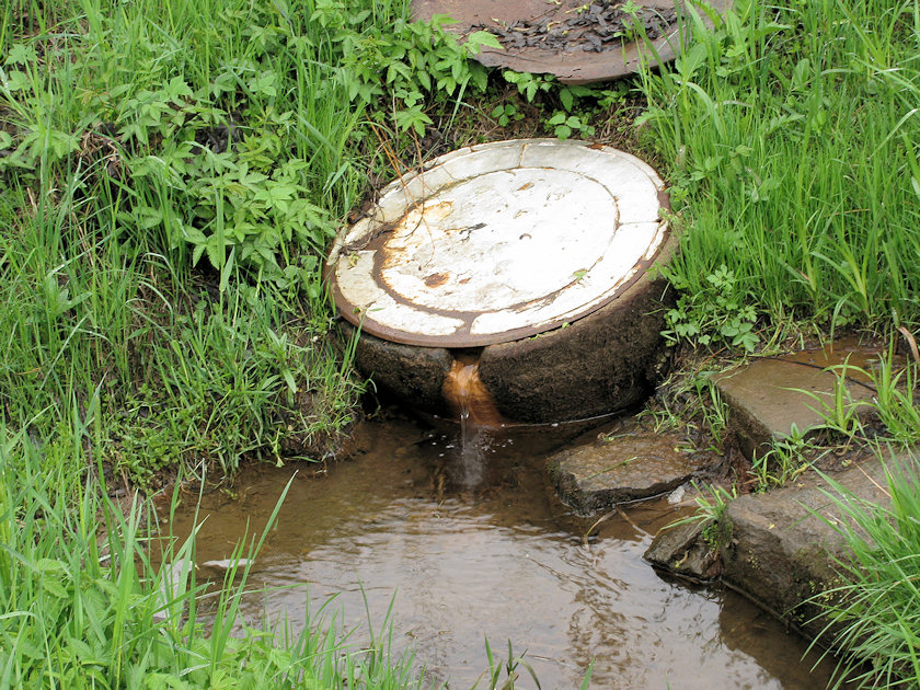studánka Zákazová (3238)