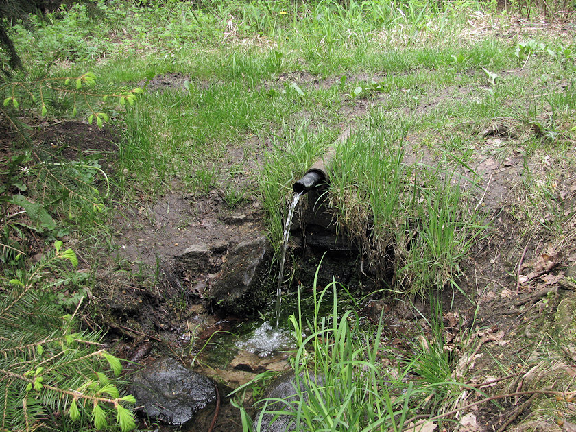 studánka U Okrouhlíku (3241)