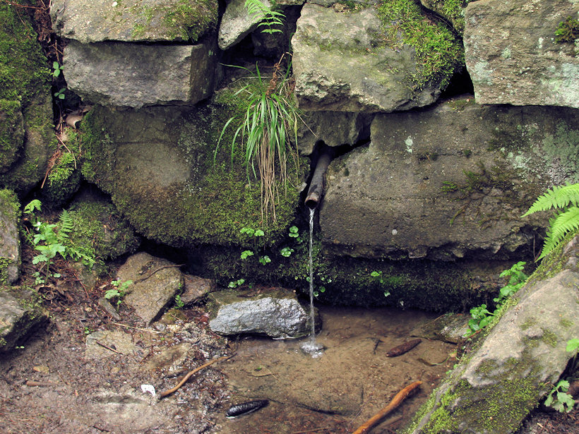 studánka Pod školou (3242)