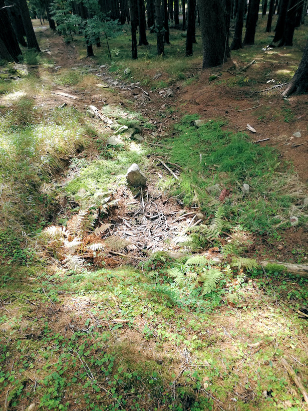prameniště Nad Tisovou (3249)