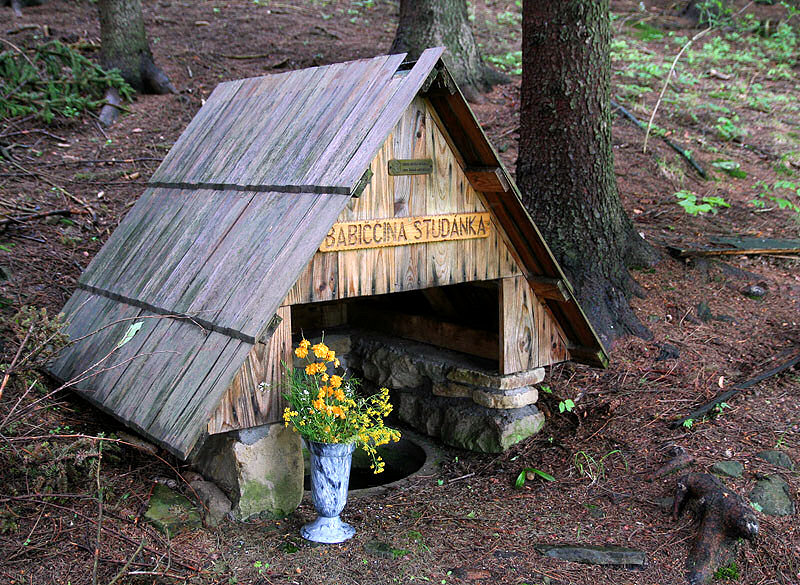 Babiččina studánka (3259)