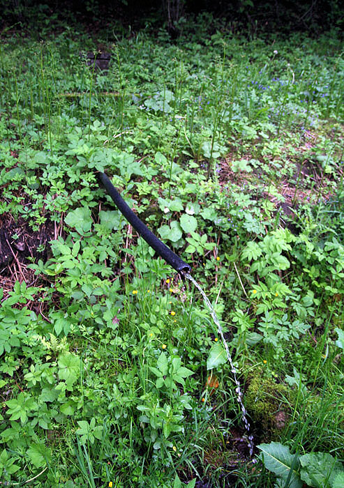 studánka Na Ranči (3260)