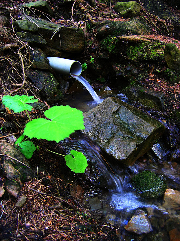 studánka U kadlubníčka (3263)