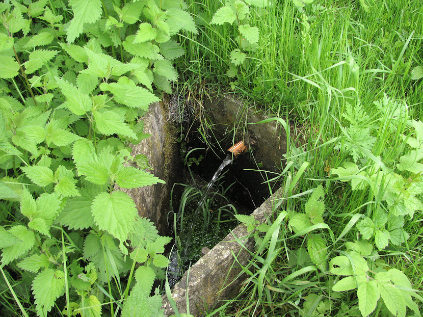 studánka Chatařská (3269)