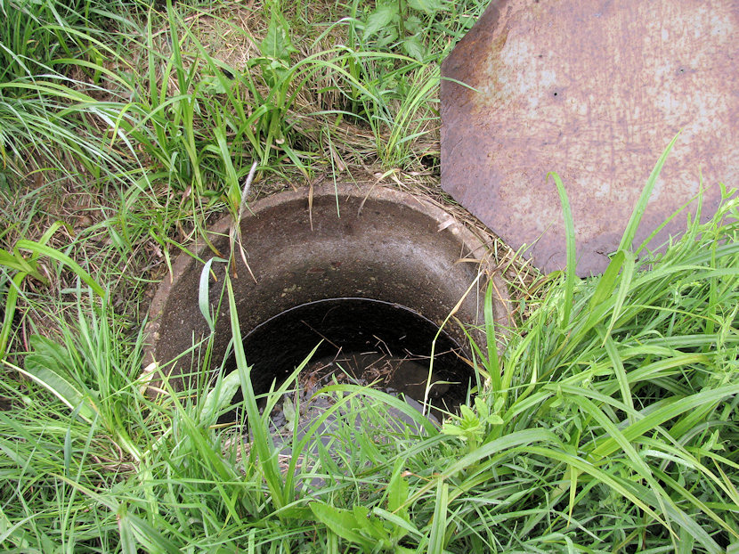 studánka bez jména (3270)