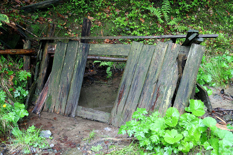 studánka Na Hákovském (3275)
