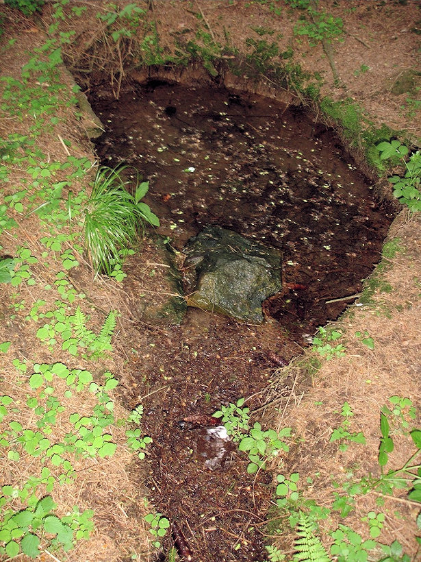 prameniště bez jména (3283)