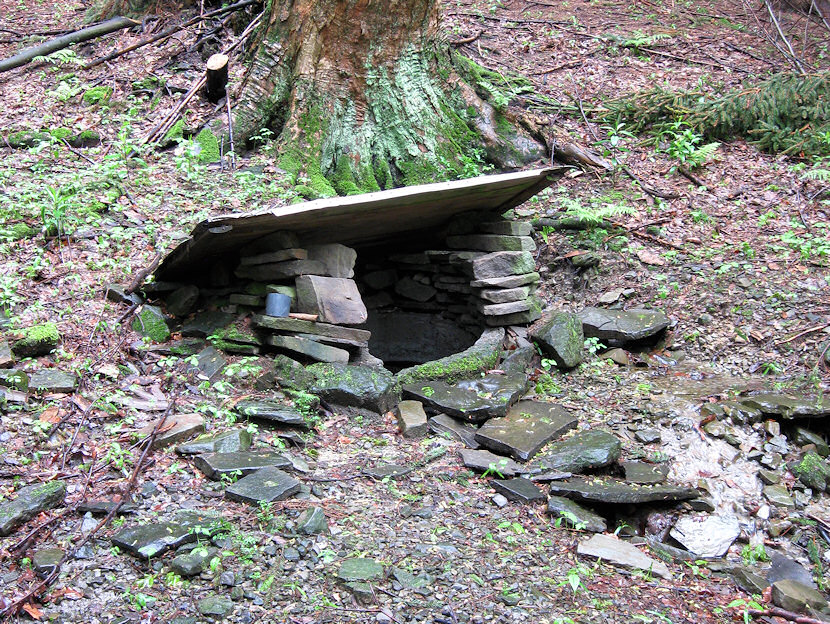 studánka Javorová (3289)