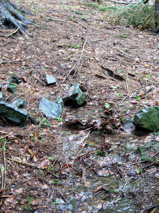 prameniště Nad Hlistou (3290)