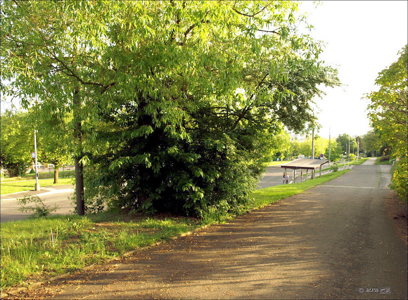 vrt Artéská studně (3292)