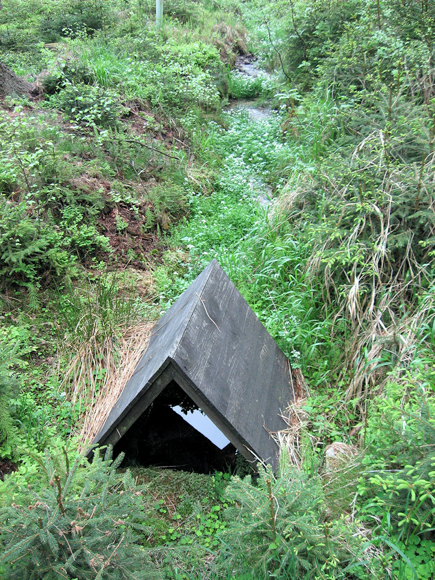 Studánka U Modrého obrazu (3297)