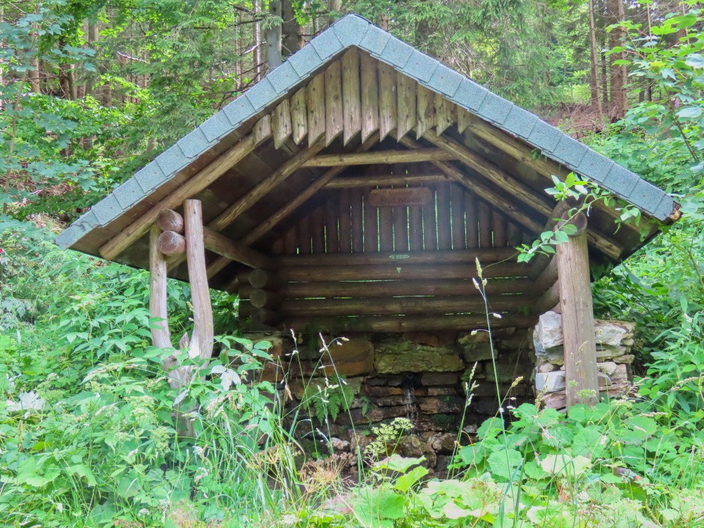 studánka Nad Mírem (3316)