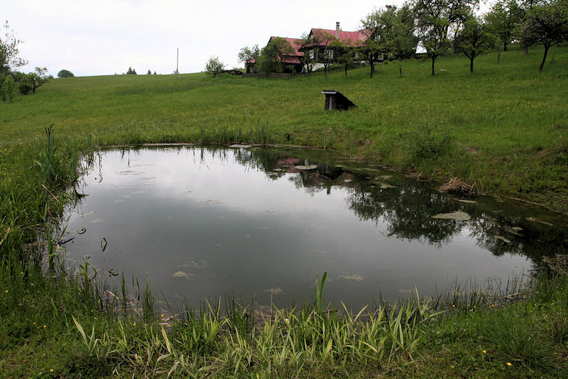 studánka Pod Mísnú (3336)