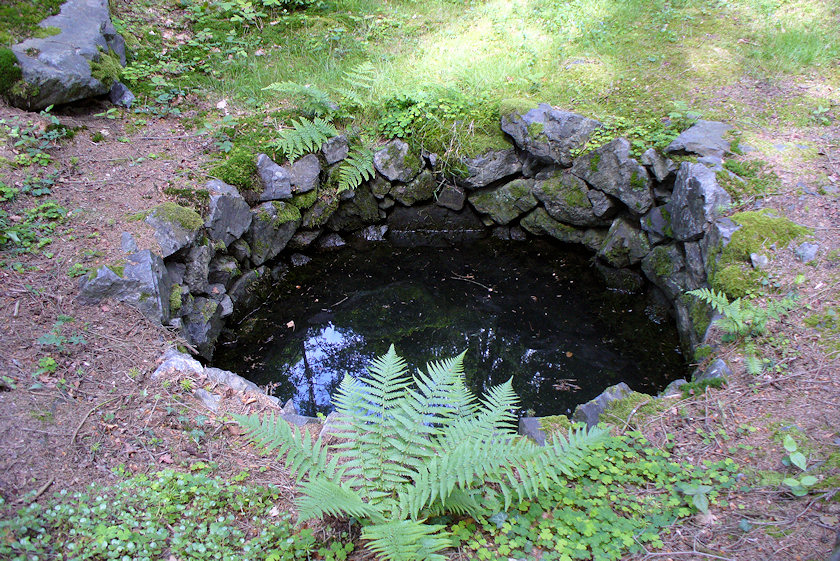 studánka Pod Kamýckou skálou (3342)