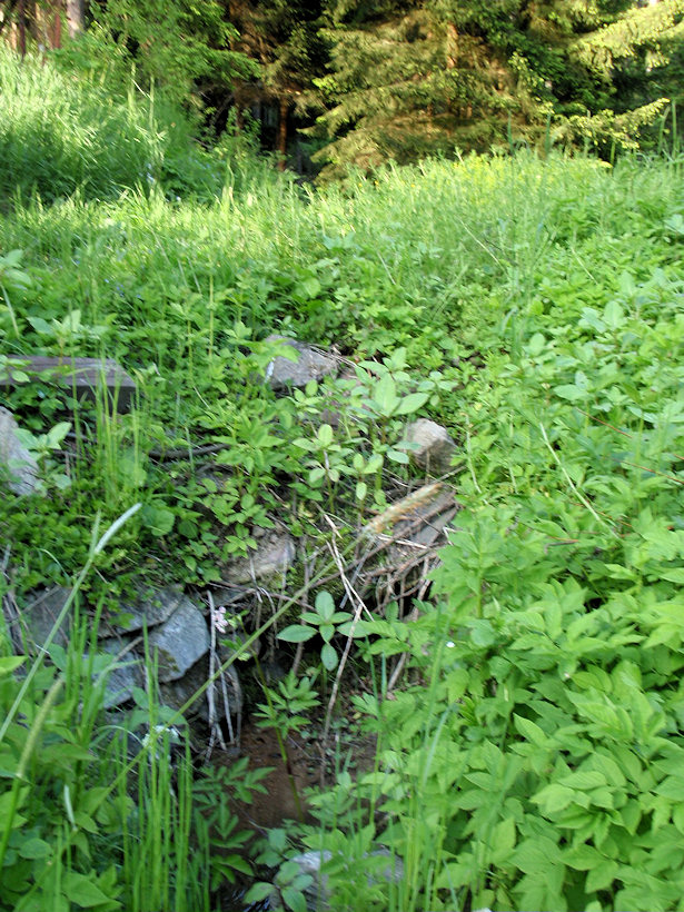 studánka V kamínkách (3343)