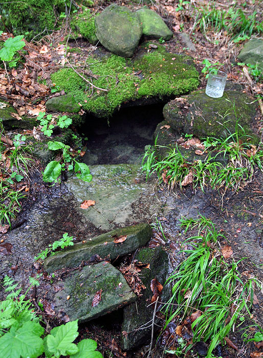 studánka U Charlotty (3344)