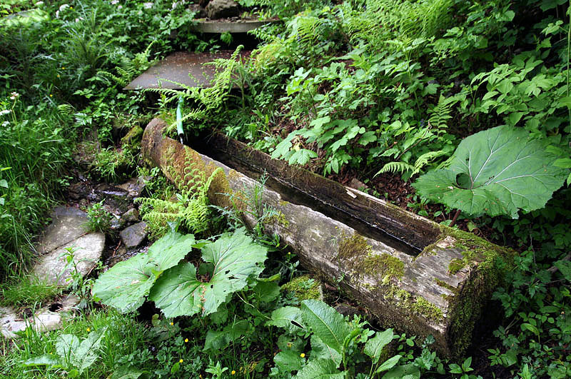 studánka U Kříža (3345)