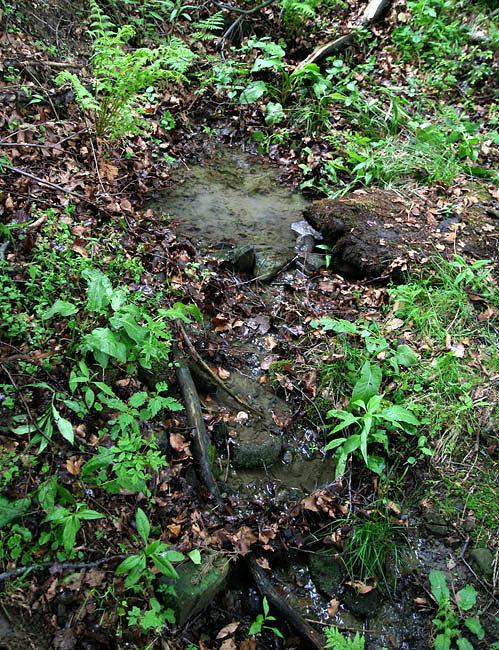 studánka V Drviskách (3346)