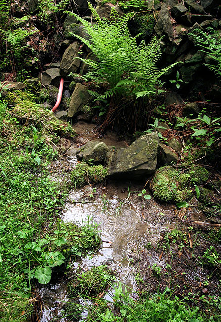 pramen Terezčina studánka (3348)