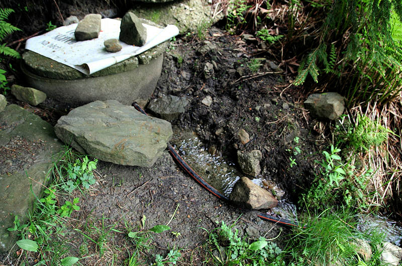 studánka Za Mísnú (3350)