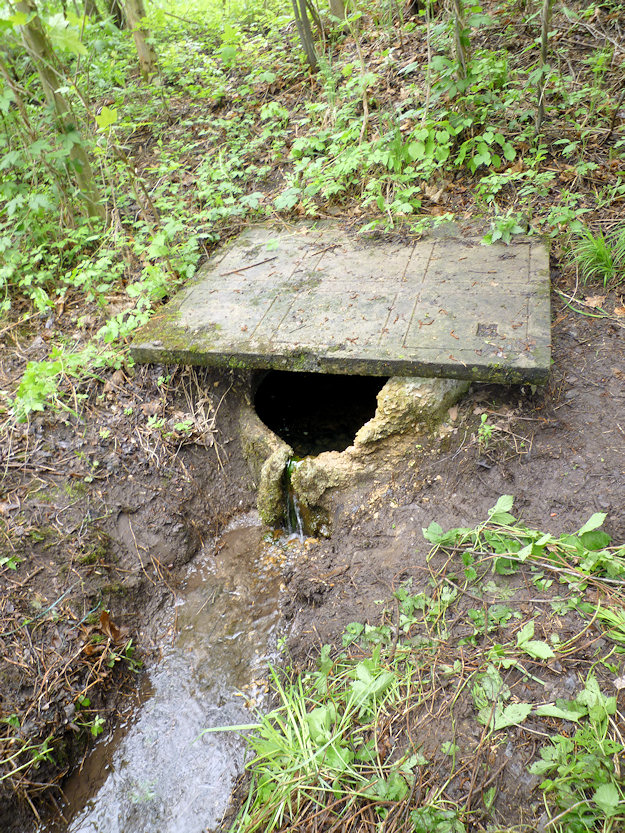 studánka V Lipách (3357)