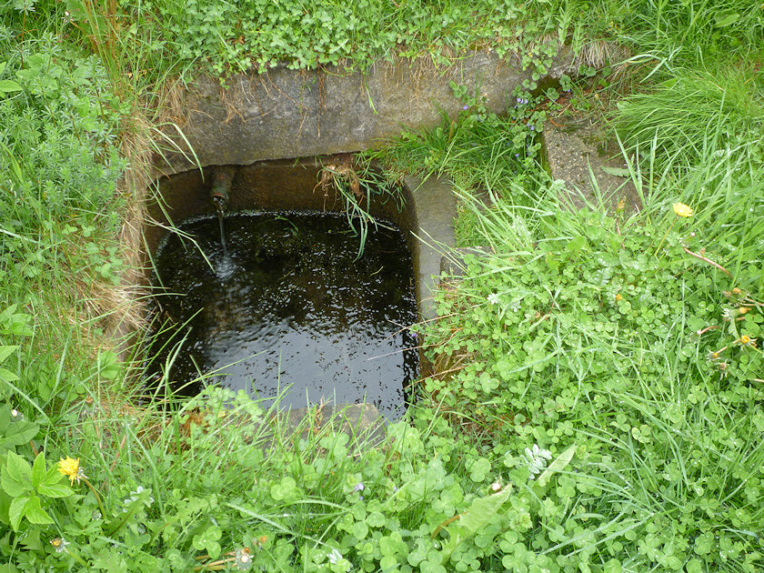 studánka U obchodu (3358)