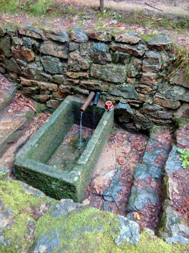 studánka Pod kaplí svatého kříže (3361)