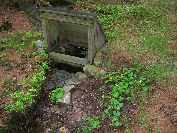 Studánka pod Černou Skálou (3378)
