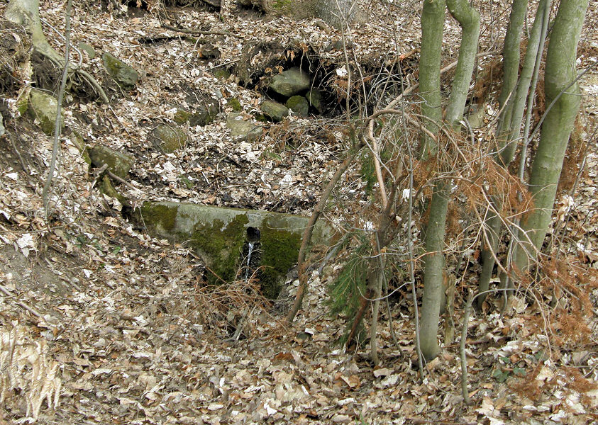 studánka bez jména (3392)