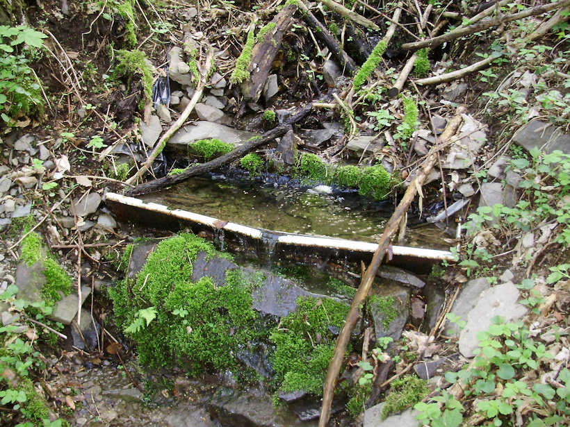 studánka Skautská (3401)