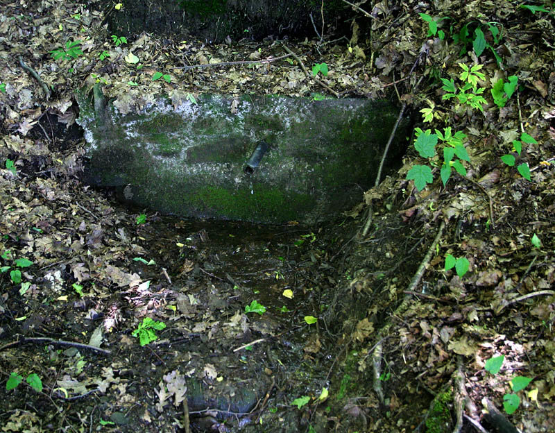 studánka V Rudolfovém lesíku (3421)