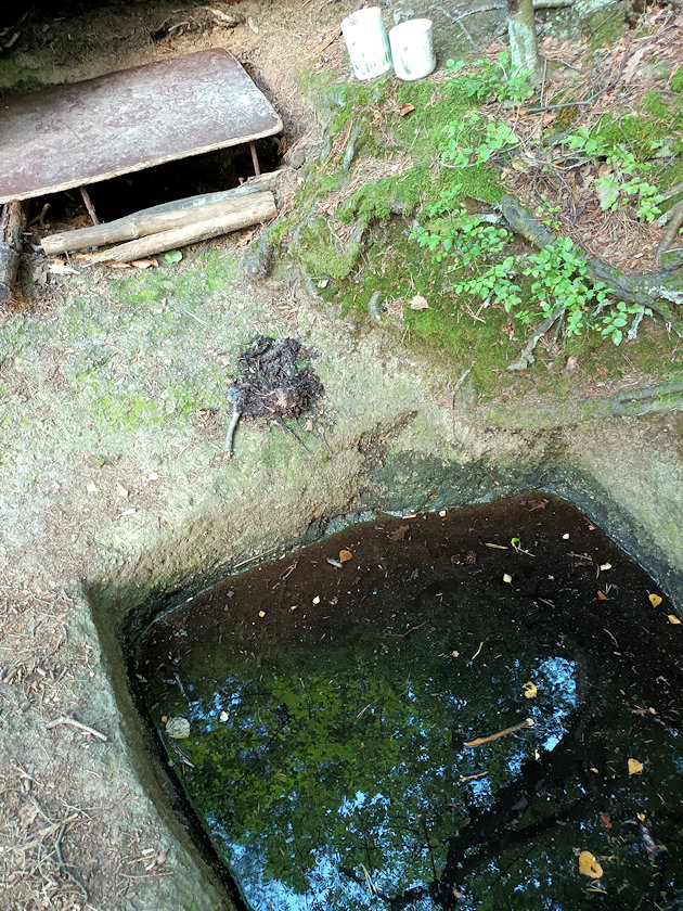 Skalní studánka (3427)