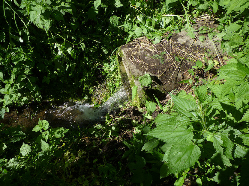 studánka Hraštická studna (3431)
