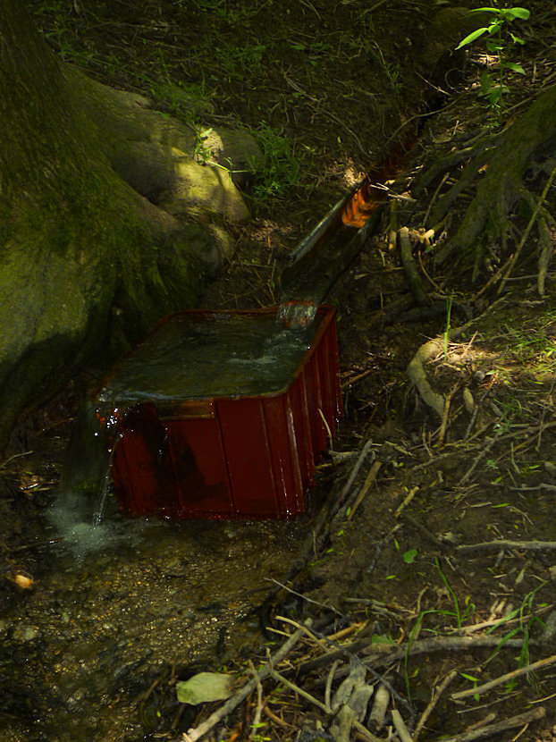 studánka Ve skalkách (3432)